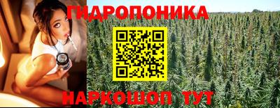 spice Сланцы