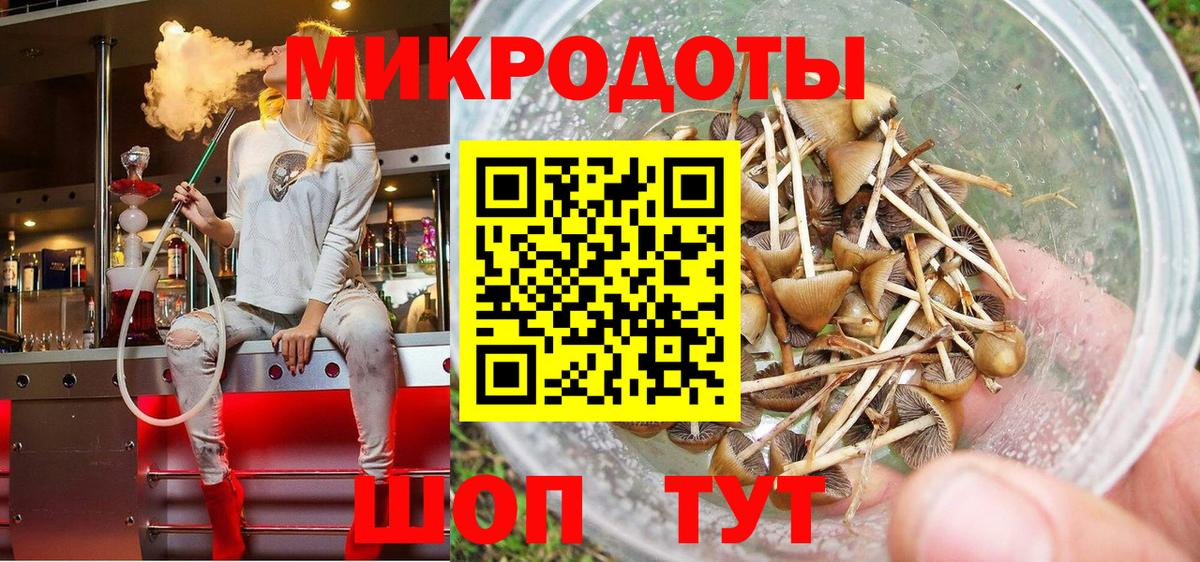Галлюциногенные грибы ЛСД Сочи